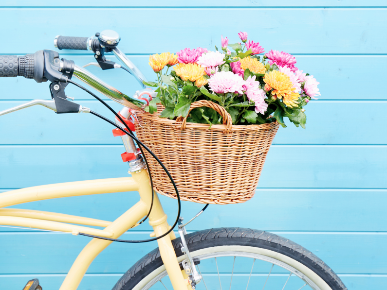 bikes, spring bikes, amazon bikes