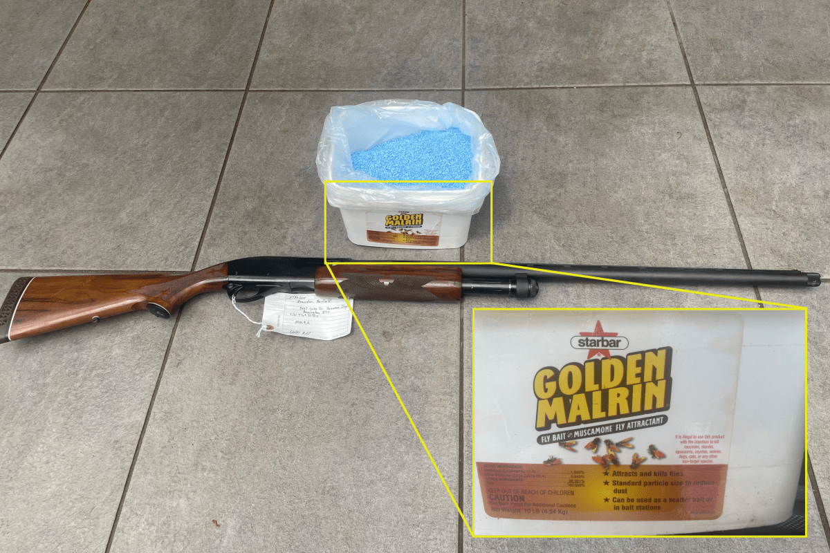 Seized evidence showing a shotgun and pesticide used by Zackery Barfield to kill dolphins.