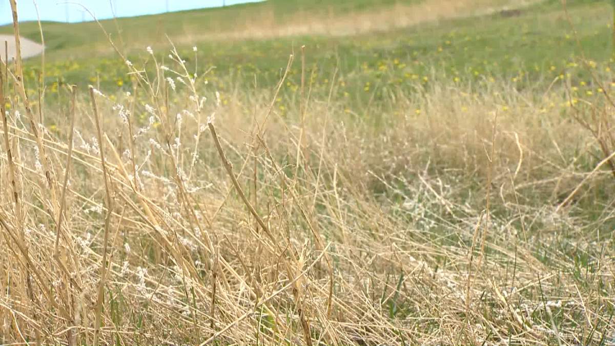Despite the easing of fire restrictions in some parts of Alberta, fire officials say the danger remains high to very high, so residents are urged to exercise extreme caution.