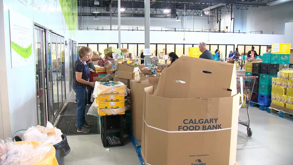 A new report from the Calgary Food Bank shows a disturbing number of working Calgarians are turning to the organization to help put food on the table -- up 27 per cent over the past year.