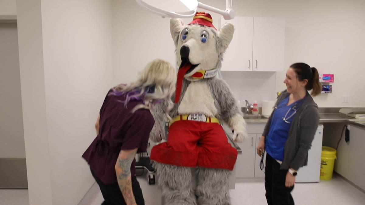 Harvey the Hound stops by the Calgary Humane Society for a medical check up in September 2019.
