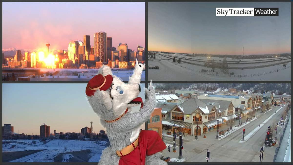 Harvey the Hound joins the Global Calgary morning team broadcast to help with the weather forecast on February 16 2024.