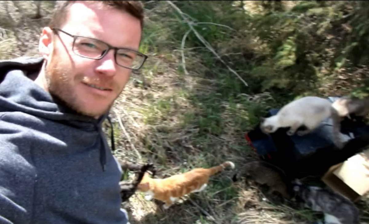 Calgarian James Murphy was just out for a drive near Dickson Dam when he stopped to take in the view and suddenly found himself surrounded by cats.