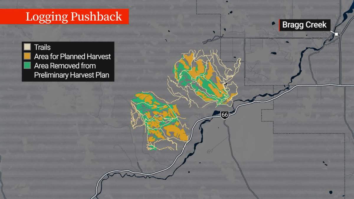 West Fraser Timber said it has scaled back its logging plans in the Bragg Creek area from 880 hectares to 556 hectares.