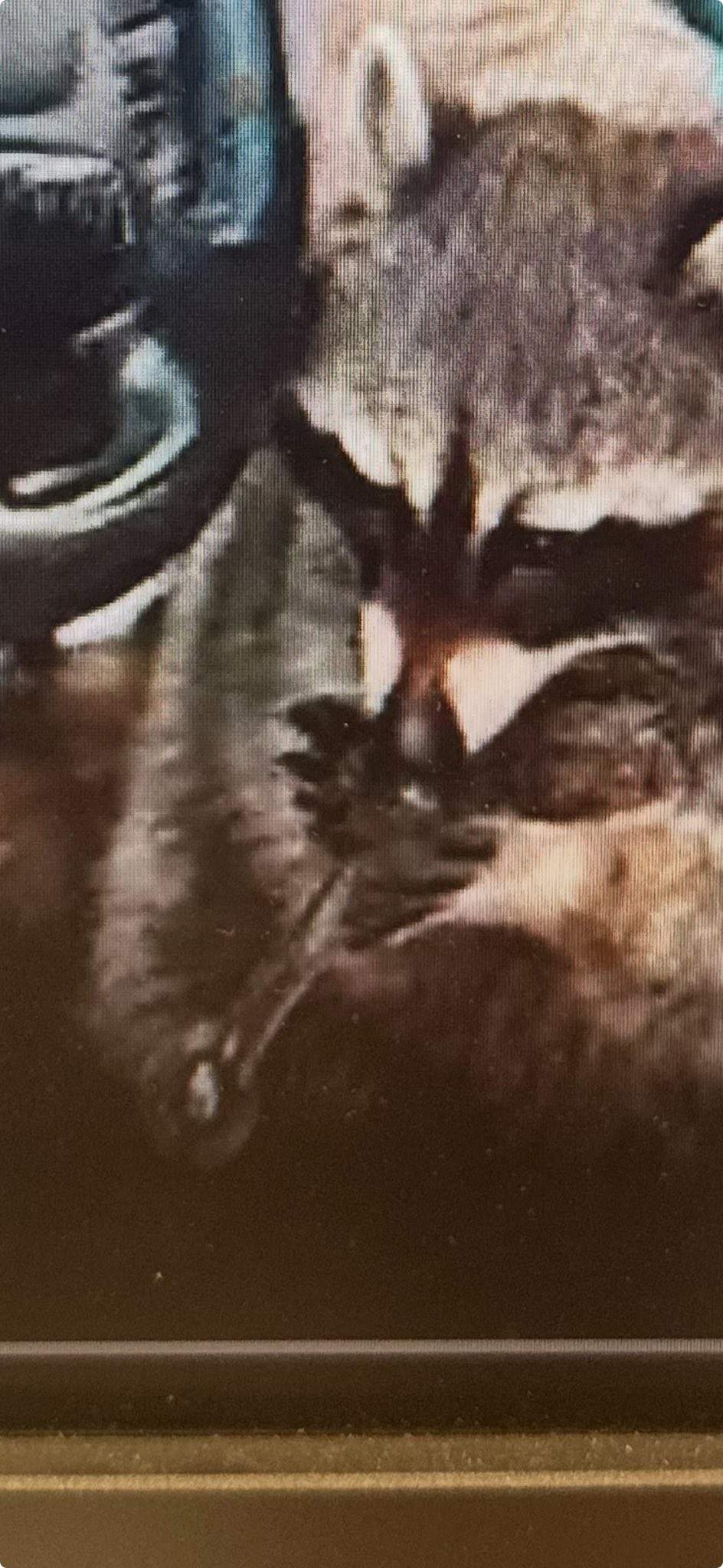A zoomed-in video still shows Chewy with the meth pipe in his mouth.