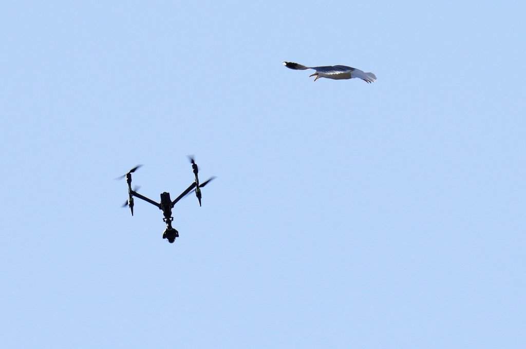 A Toronto man sparks online outrage after being charged with voyeurism for allegedly using a drone to spy on women. Nearby residents reported similar incidents that left them shaken.