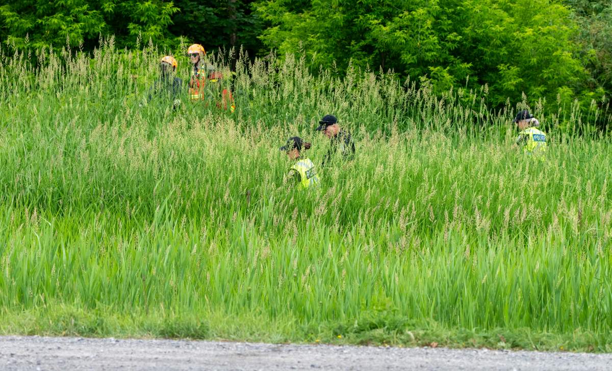 Police and rescue workers search the woods beside a highway for a missing three-year-old girl in Vaudreuil-Dorion, Que., Tuesday, June 17, 2025.