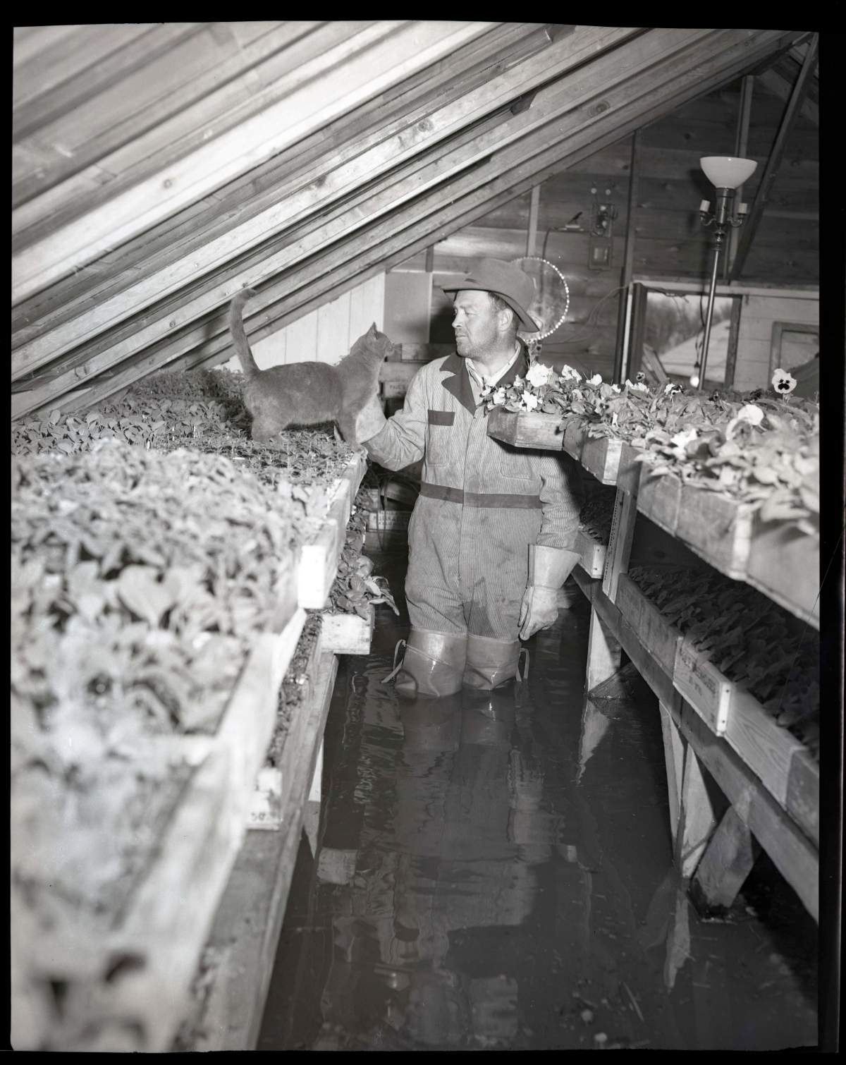 A man wades through a flooded greenhouse.