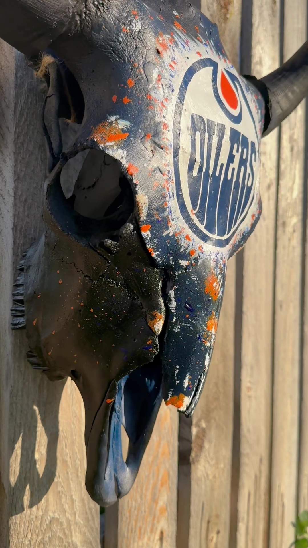 Wainwright, Alta. artist Jordyn Prior paints custom cow and buffalo skulls and recently completed an Oilers-themed piece.