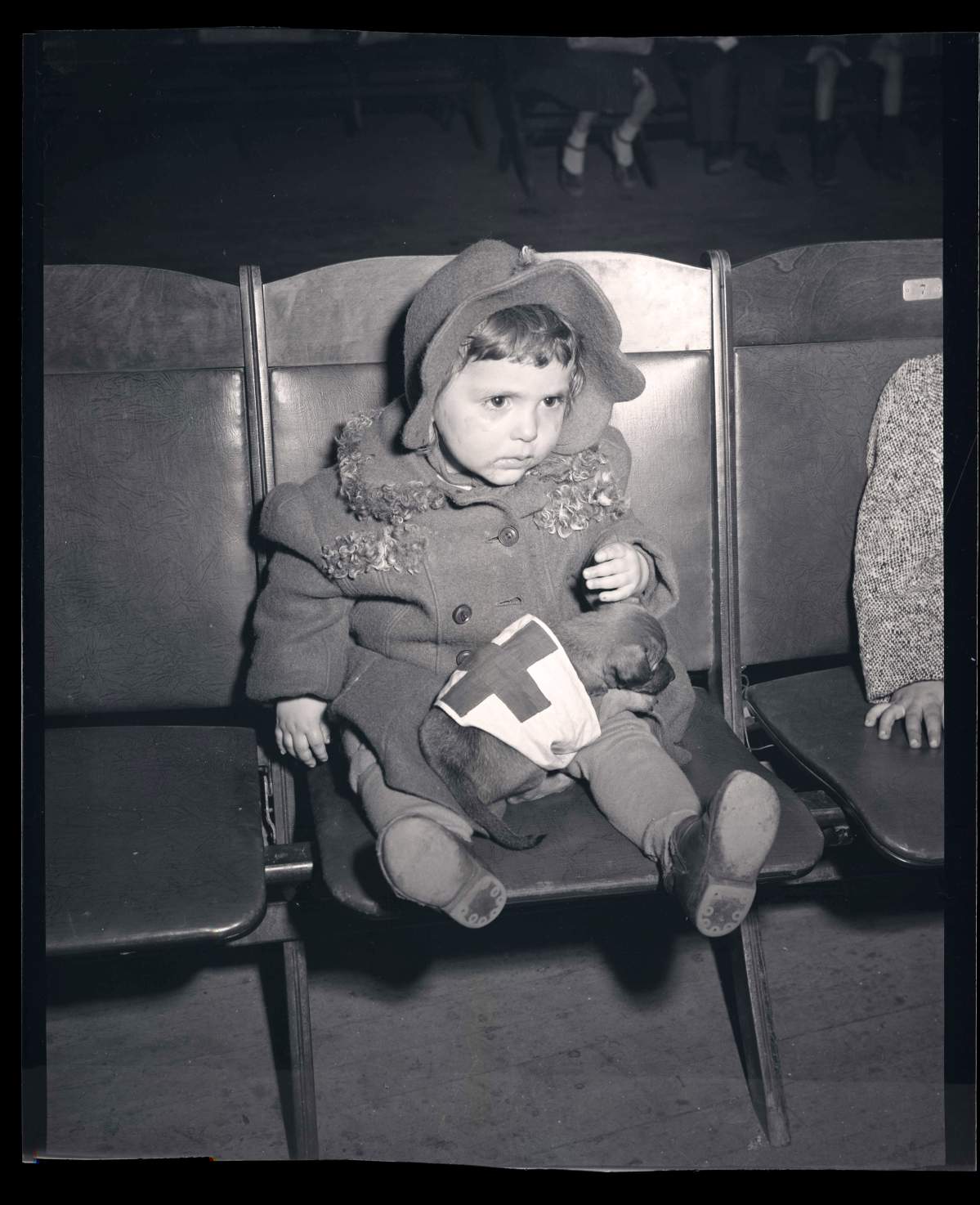 A young evacuee with a puppy in the Red Cross’s evacuee headquarters during the flood of 1950.
