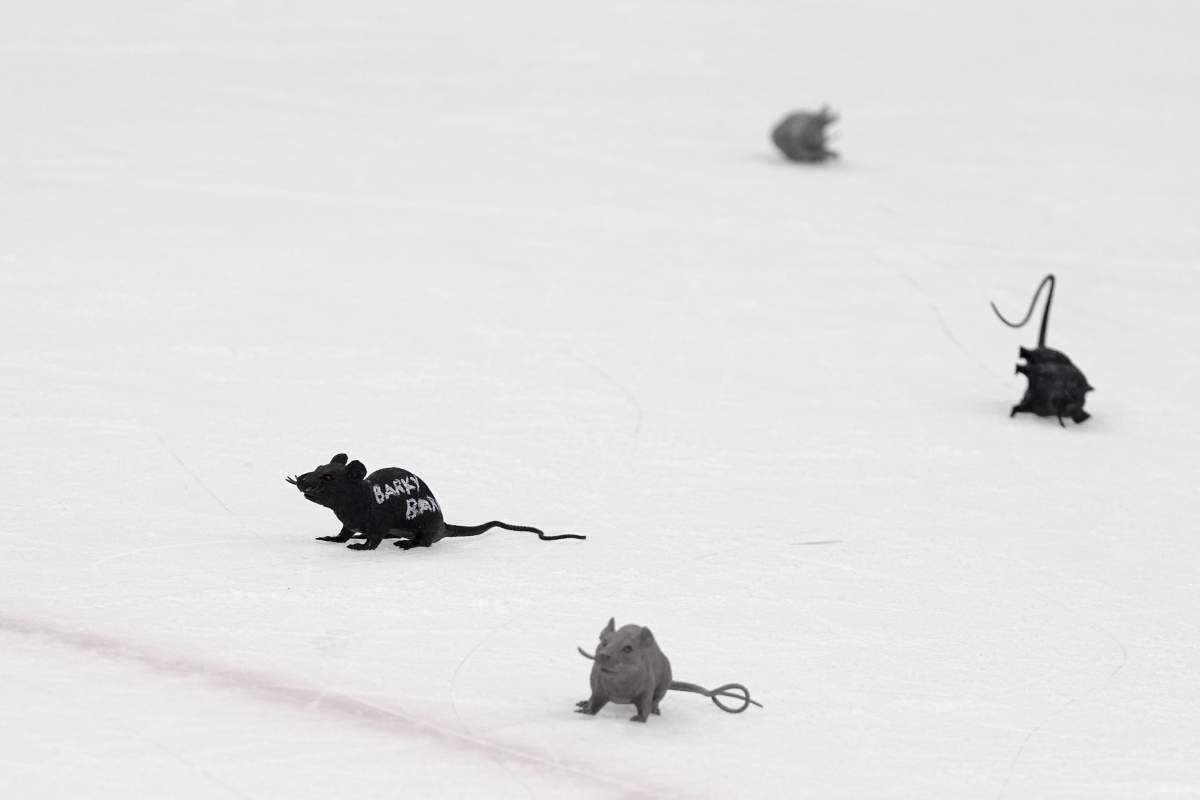 FILE - Plastic toy rats litter the ice after the Florida Panthers scored during the third period of Game 1 of the NHL hockey Stanley Cup Finals against the Edmonton Oilers, Saturday, June 8, 2024, in Sunrise, Fla.