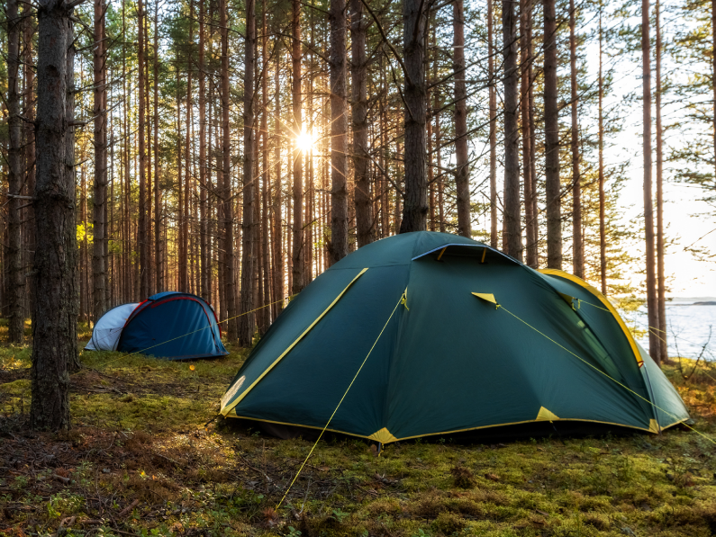 Camping plans? If you’re new to sleeping outdoors, no need to rough it. Opt for these must-haves from Wayfair, Walmart and more.