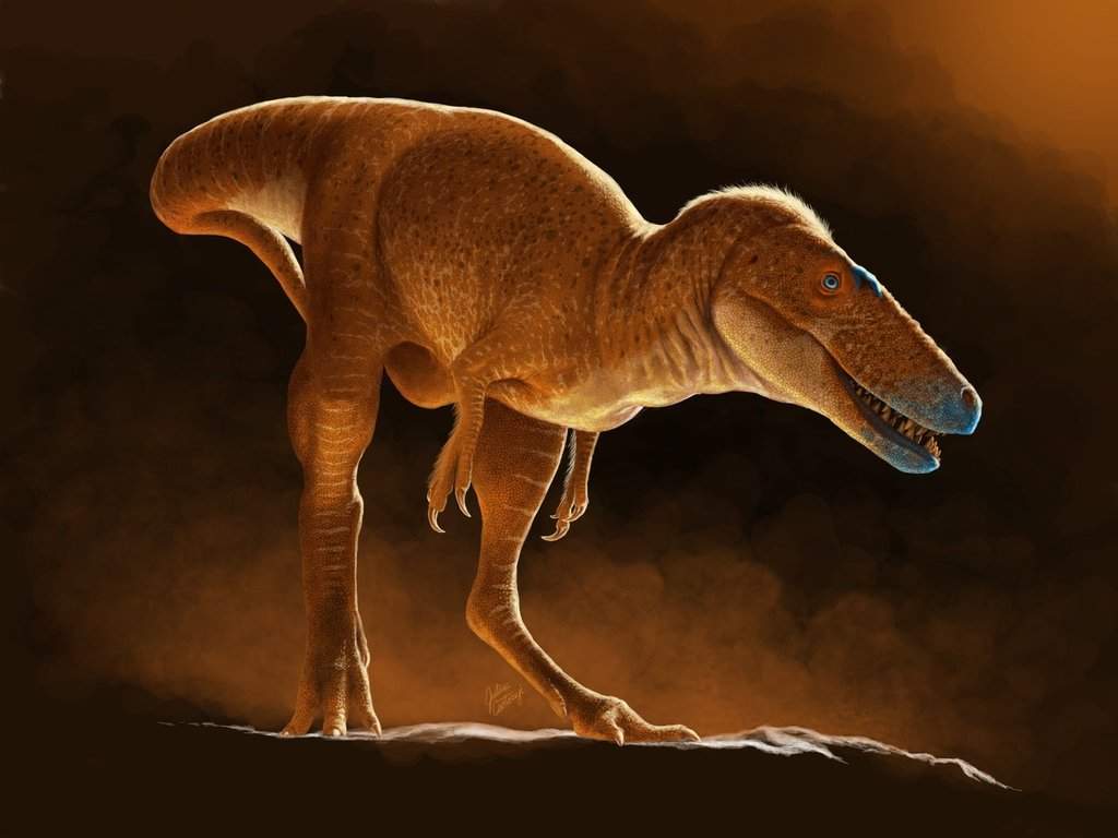 University of Calgary scientists have discovered a new dinosaur specimen that appears to be the "missing link" in the evolution of tyrannosaurs.