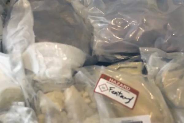 Police in York Region say they arrested 23 people from across southern Ontario while seizing more than $7 million in Fentanyl after a seven-month investigation dubbed Project Chatter.