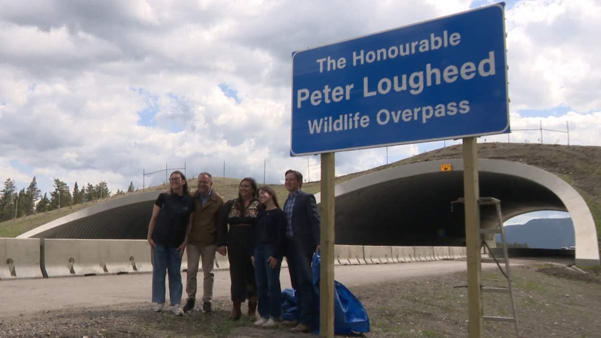 Construction of the $17.5-million overpass began in 2022, was completed last year and was officially opened on Friday (June 13, 2025).