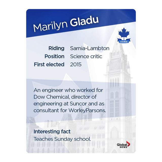MP trading cards: Official Opposition Edition - image