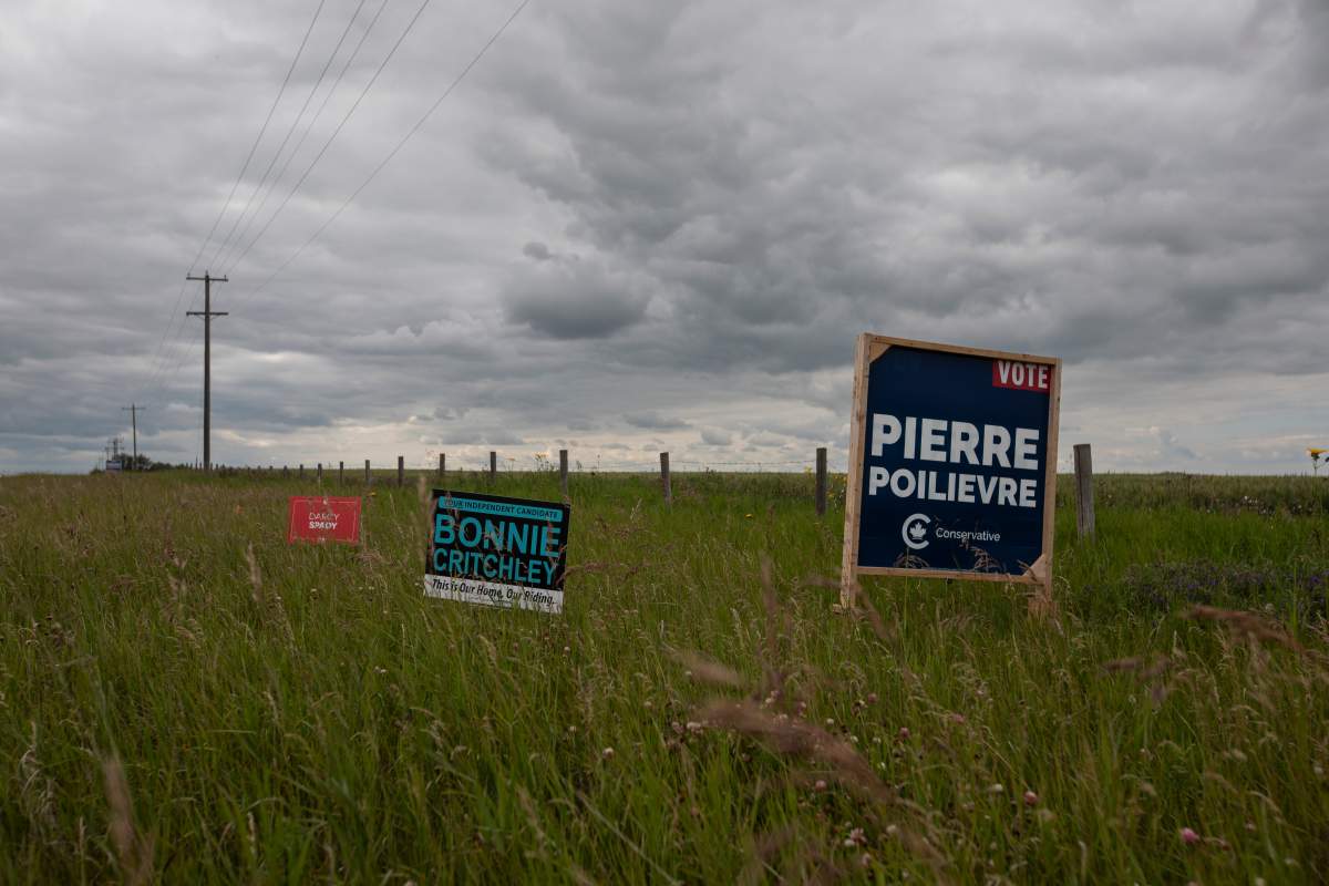 A campaign sign for independent candidate Bonnie Critchley next to signs for Pierre Poilievre and Darcy Spady in the riding of Battle River-Crowfoot in Camrose, Alta.