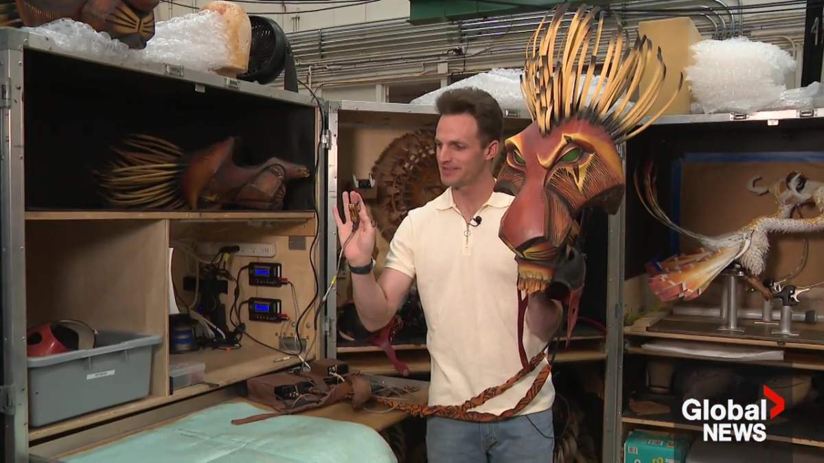 Peter Hargrave, the actor who plays Scar in the touring production of “The Lion King” showing how his costume is controlled.