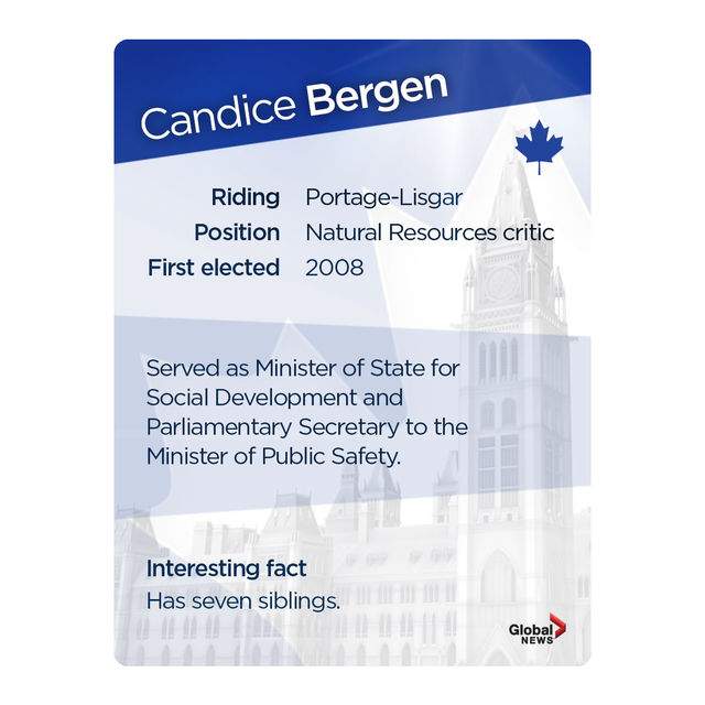 MP trading cards: Official Opposition Edition - image