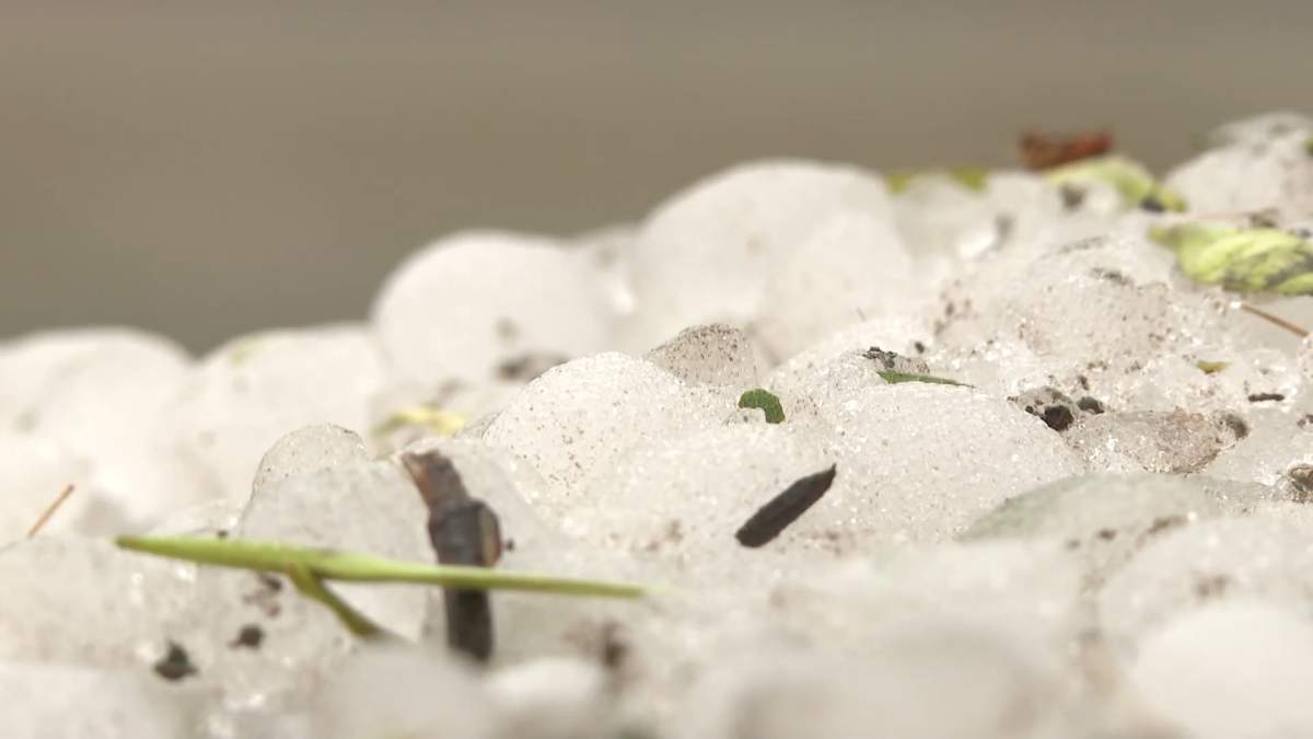 On Monday, residents of Cardston, Ab., about 90 minutes southeast of Calgary, were still cleaning up from a nasty storm on Sunday that pummeled the area with ping pong ball sized hail.
