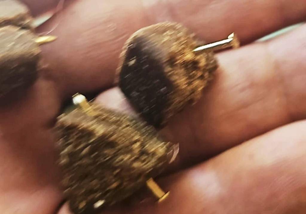 This photo made available Tuesday, July 8, 2025 and taken Friday Jan. 4, 2025, shows bits of dog food laced with nails that were fed to a police dog, the 7-year-old bloodhound Bruno, killing him, his trainer Arcangelo Caressa said.