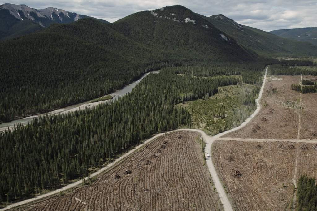 Valory Resources Black Eagle Mining Corporation site near the Clearwater River, west of Rocky Mountain House, Alta., Tuesday, June 1, 2021. Valory Resources is one of the companies suing Alberta over its coal policy reversal in 2022.