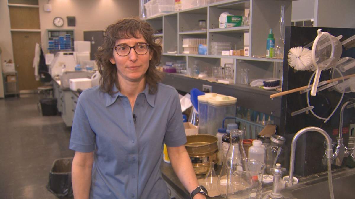 Kateryn Rochon, an associate professor of entomology at the University of Manitoba, collects and analyzes black-legged ticks in the lab.