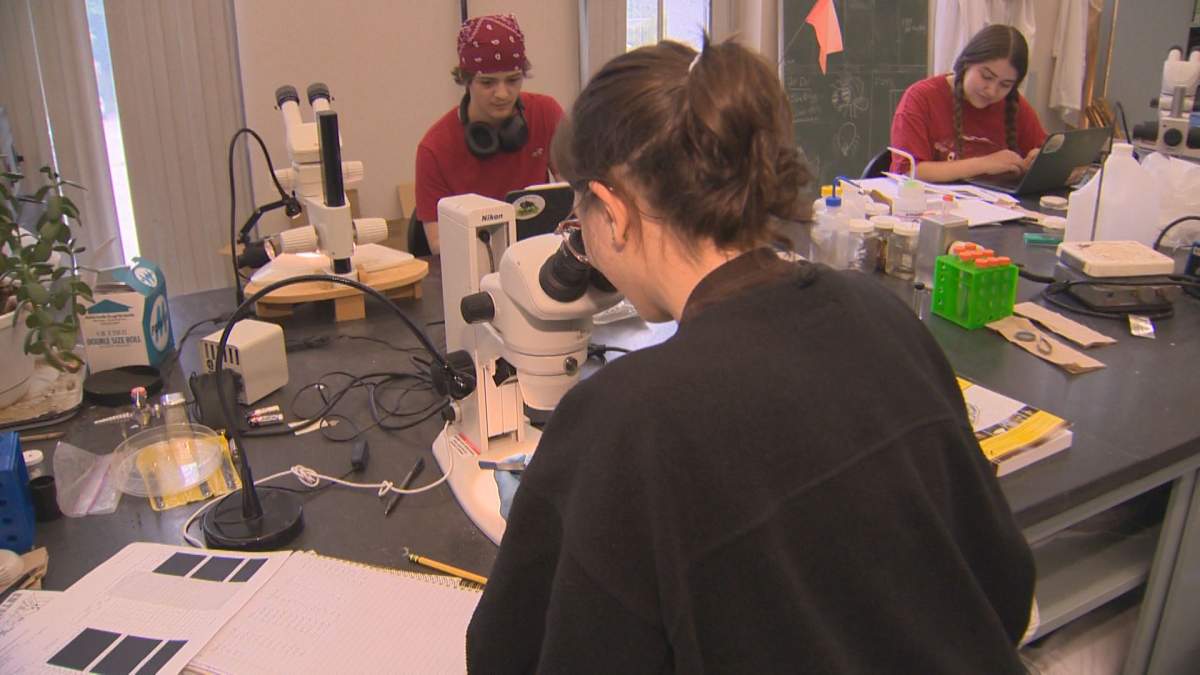 In Manitoba, if you upload a tick to the eTick app, it will be assessed and identified by researchers at the U of M.