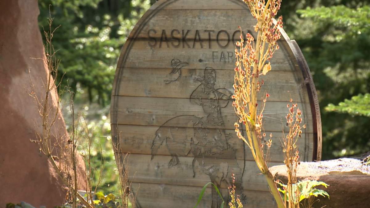 AHS said on August 6 that laboratory tests have identified 68 probable cases of E. coli and 45 cases of Entamoeba histolytica believed to be linked to the Saskatoon Farm, a popular restaurant south of Calgary.