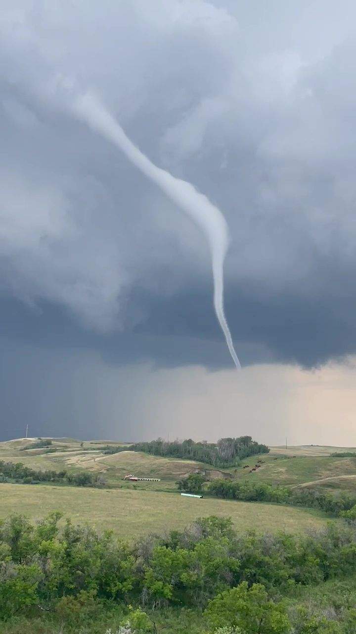 The Northern Tornado Project confirmed a tornado occurred near Hardisty on Aug 3, 2025. The tornado caused minor tree damage and was assigned an EF0 rating.
