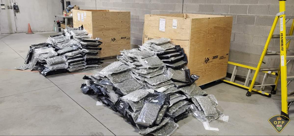 A picture of a warehouse with two piles of dried cannabis in plastic packaging in front of two large wooden crates with a ladder on the right side.