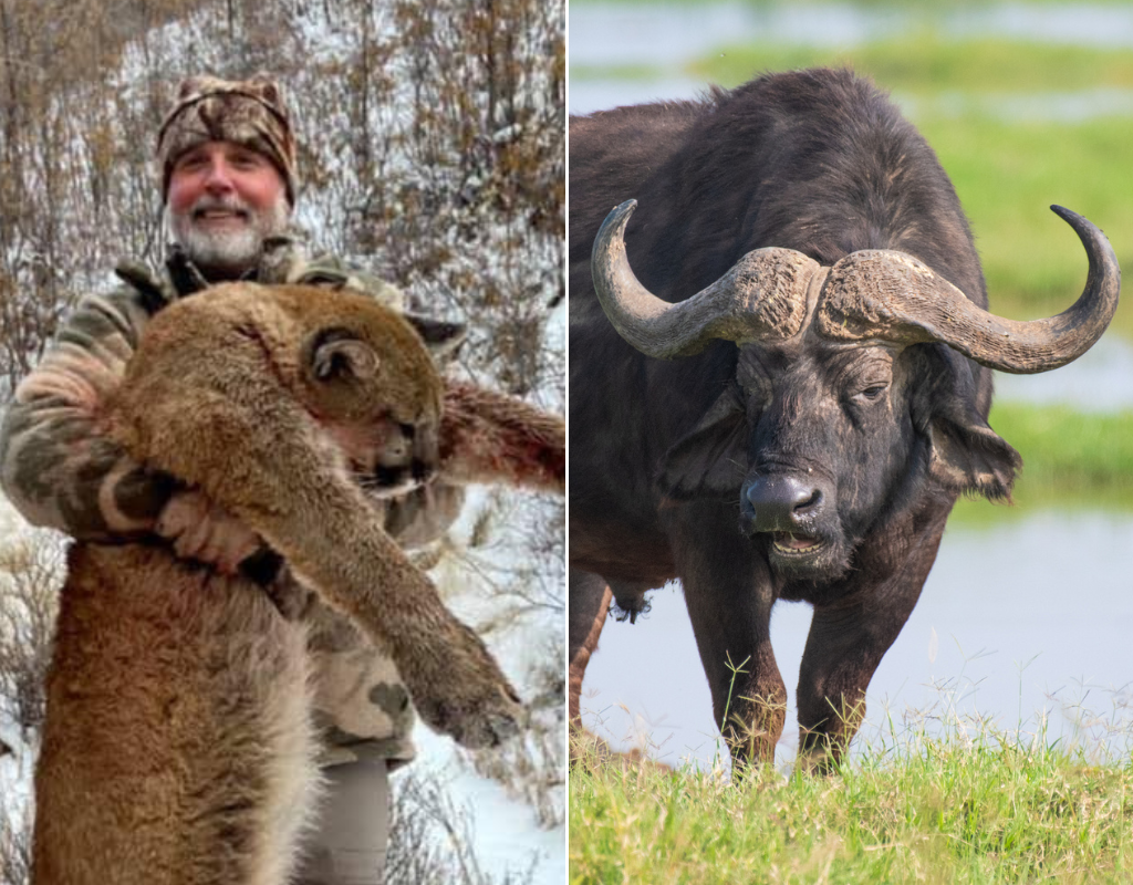 Texas ranch trader Asher Watkins was killed while on a hunting safari in South Africa after a Cape buffalo delivered a fatal charge.