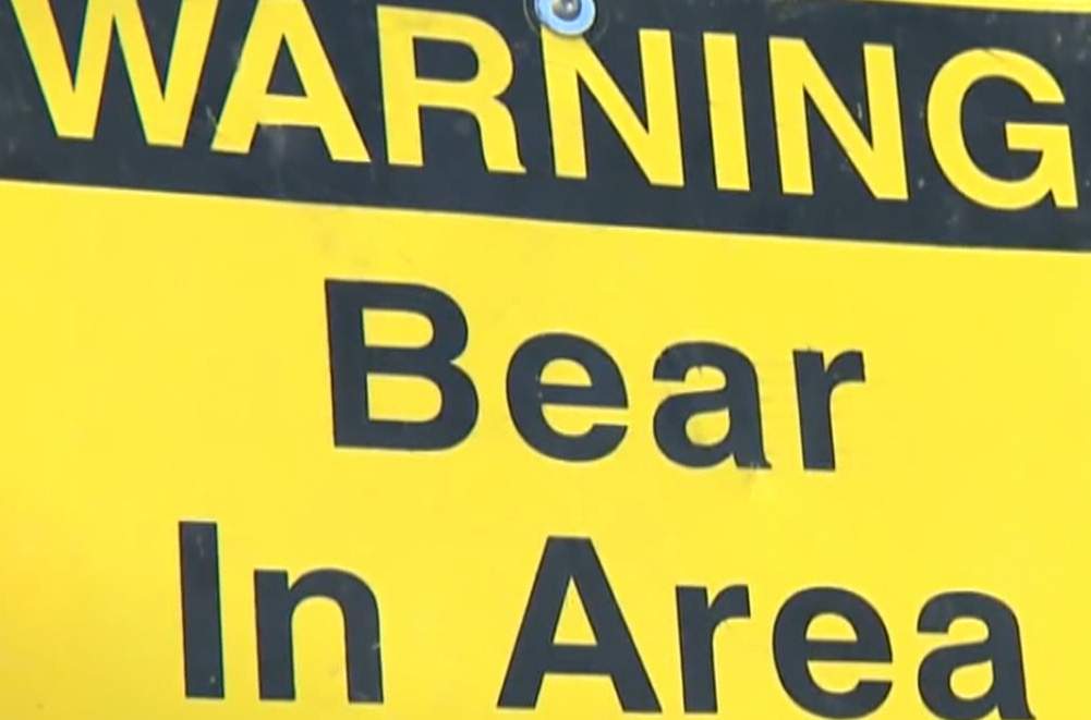 Alberta Parks has issued bear advisories for several areas in Kananaskis Country after two people were bluff charged by a bear in separate incidents.