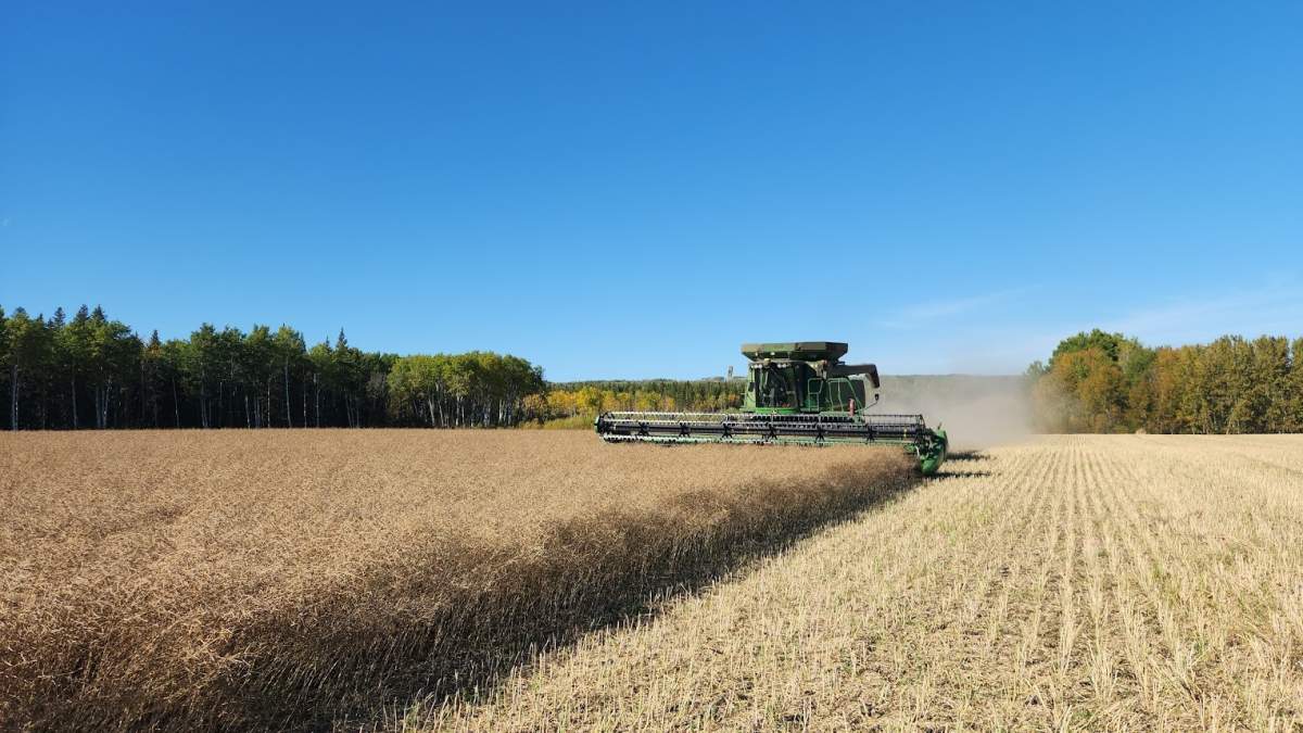 Ryan Hofford, who grows canola near Swan River, Man,, said the price he can get for his canola dropped by about $50. per acre overnight -- a loss of about $30,000.