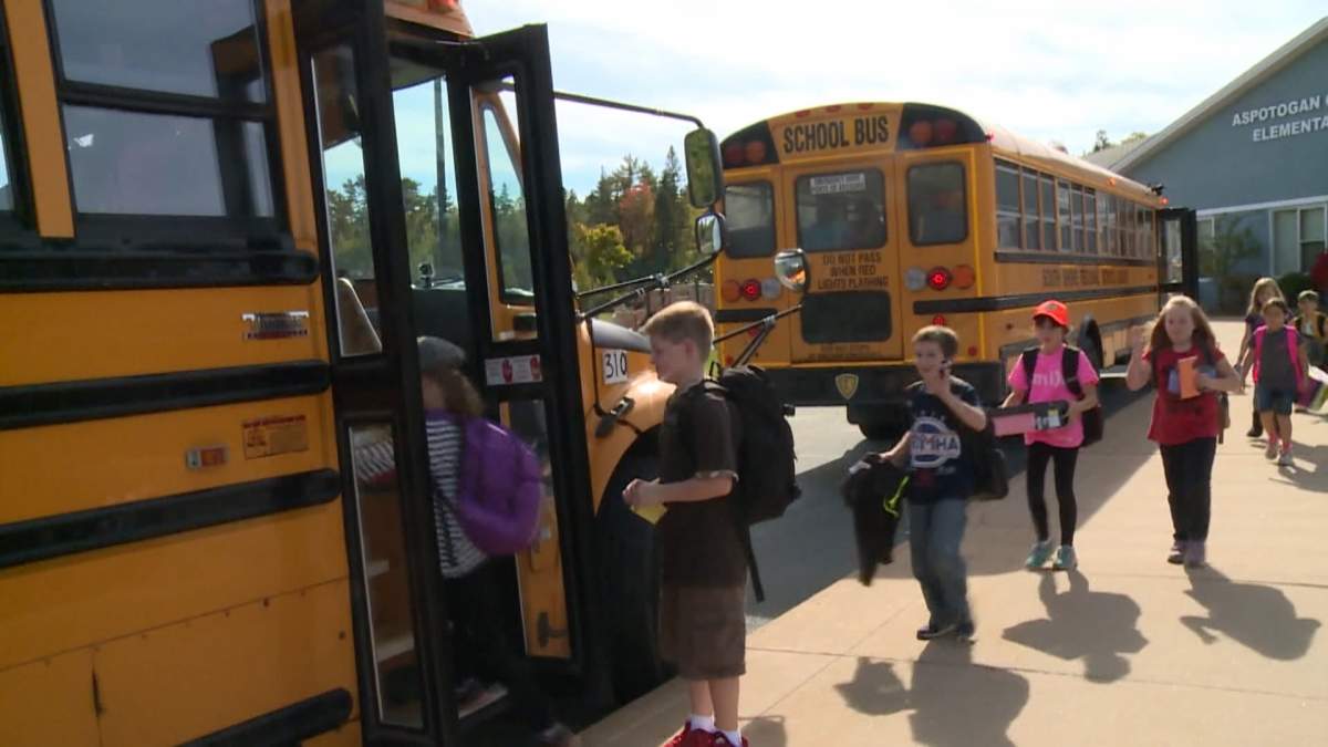 Of the more than 1,800 confirmed cases of measles in Alberta this year, about three-quarters of them have been in children aged 17 and under.