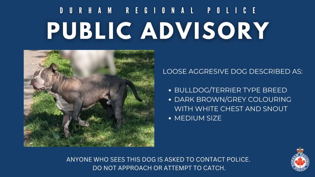 Public advisory issued by police on Tuesday.