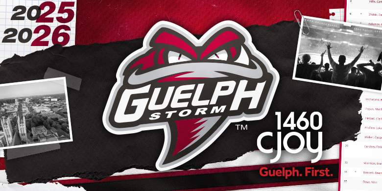 Guelph Storm - image
