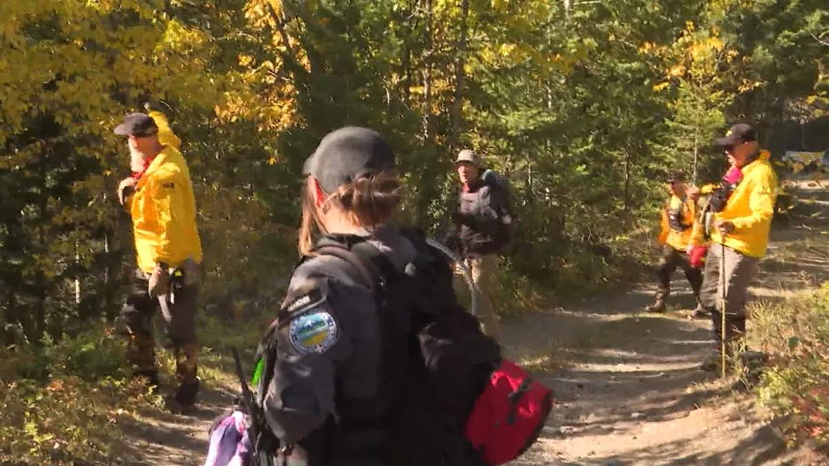 Despite offers from the public to help look for the little boy, searchers insist the job is best left to the professionals, to prevent inexperienced searchers from inadvertently destroying possible evidence or getting into trouble themselves and needing to be rescued.