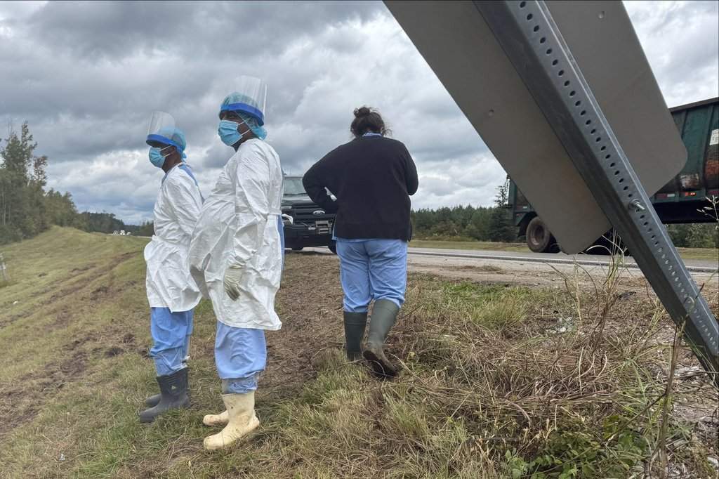 People wearing protective clothing search along a highway in Heidelberg, Miss., on Wednesday, Oct. 29, 2025, near the site of an overturned truck that was carrying research monkeys.