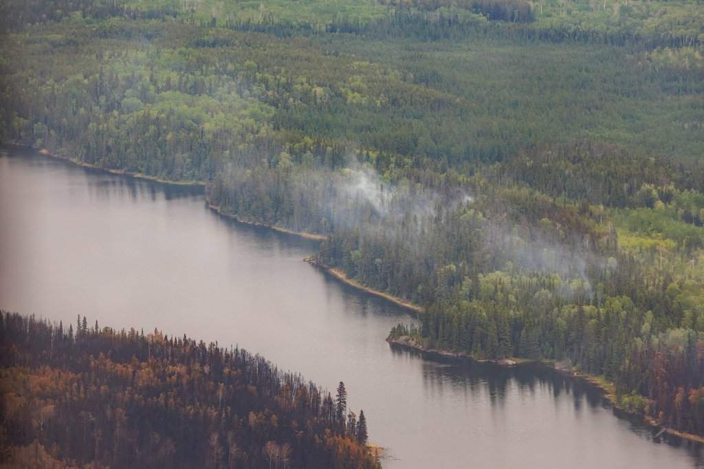 Trees burned by wildfires in northern Manitoba are shown during a helicopter tour in the surrounding area of Flin Flon, Man. on Thursday, June 12, 2025. 