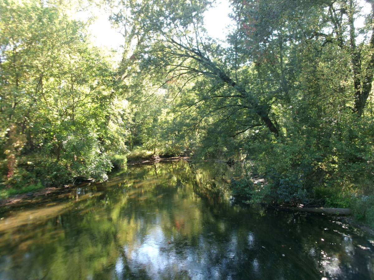 FILE - A river surrounded by forest in Wawaka, Indiana.