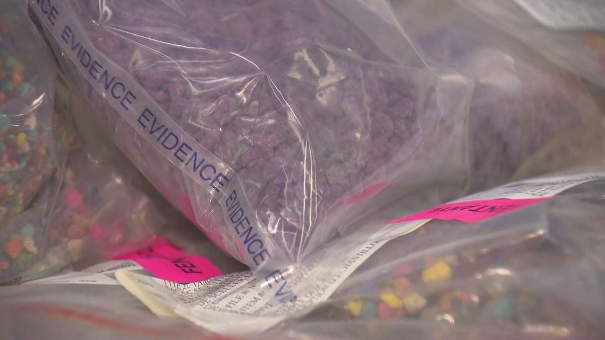 A look at some of the suspected drugs seized from the Guilford home.
