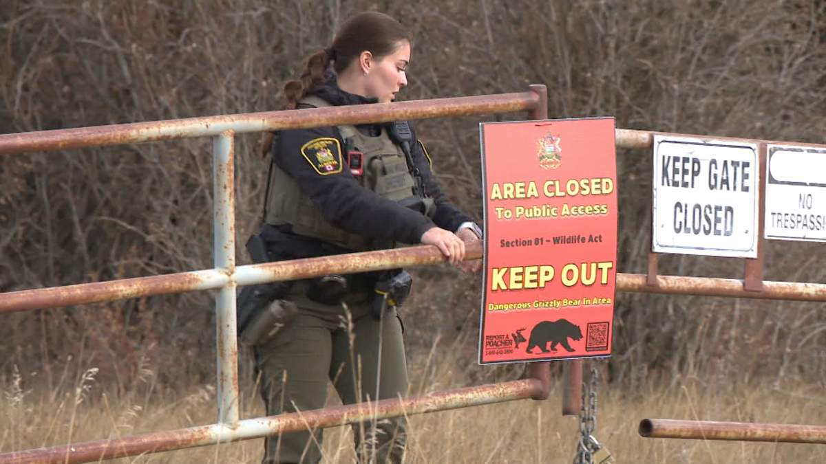 On Friday, officers with Alberta Fish and Wildlife could be seen still working in the area where a hunter was seriously injured when he was attacked by a grizzly bear a day earlier.