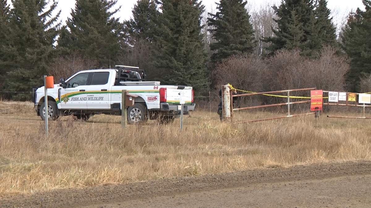 The attack took place near an area called Jumping Pound, southwest of Highways 1 and 22, about 45 minutes west of Calgary.
