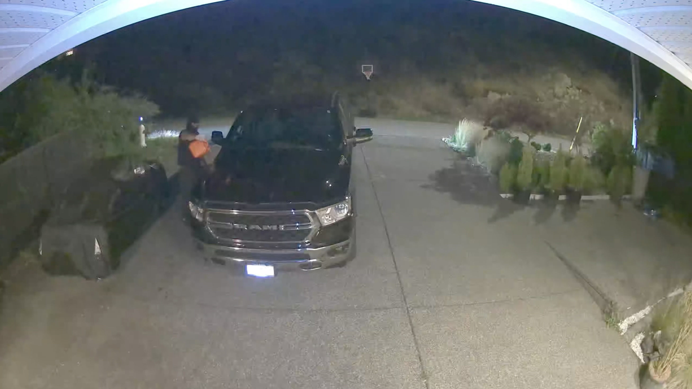 Security camera footage allegedly shows Vikram Sharma, Bishnoi gang accomplice of Abjeet Kingra, pouring gasoline on vehicles, Sept. 2 2024.