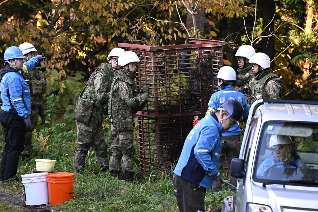 Japan Ground Self-Defense Force members and others set up a box trap to capture bears in Kazuno, Akita prefecture, northern Japan Wednesday, Nov. 5, 2025.