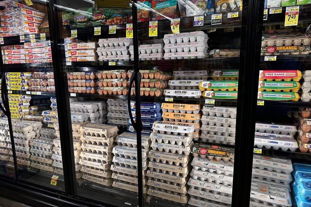 FILE - Eggs are displayed in refrigerators at a grocery store in Glenview, Ill., Feb. 10, 2025. (AP Photo/Nam Y. Huh, File).