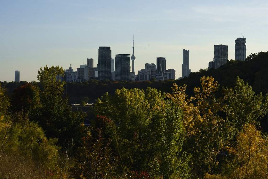 The Toronto skyline is photographed behind a canopy of trees on Wednesday, Oct. 5, 2022. THE CANADIAN PRESS/Alex Lupul.