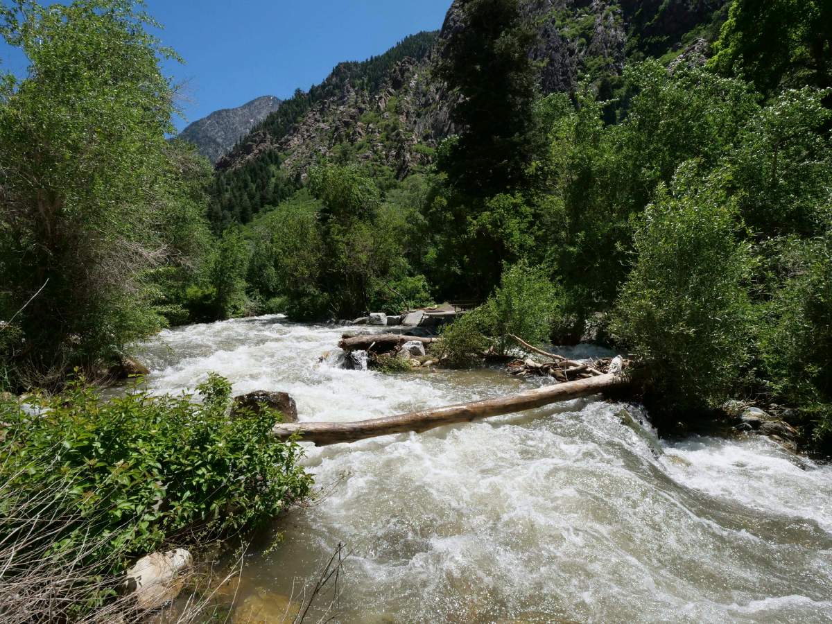 Photo shows the Big Cottonwood Creek, in the Big Cottonwood canyon, near Salt Lake City.