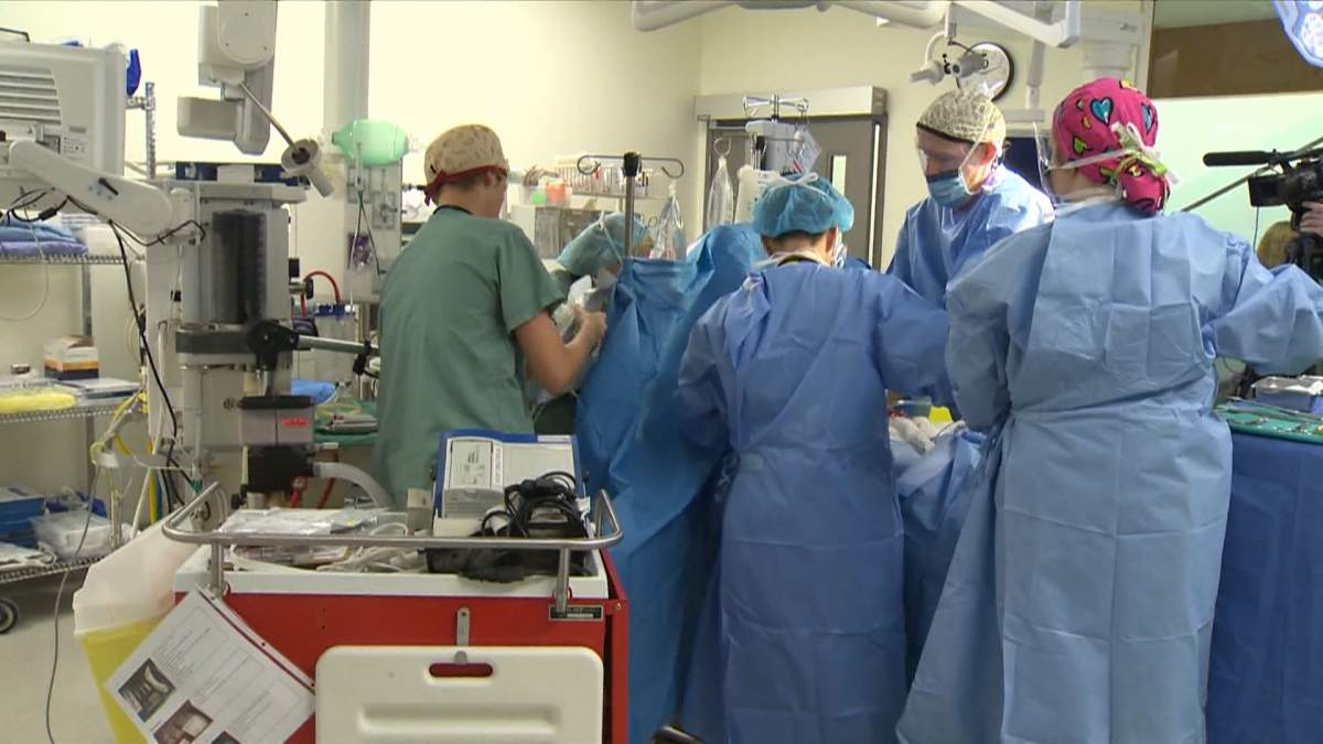 The 16,000 Alberta hospital workers include licensed practical nurses and health-care aides. However, about 78 per cent of them are essential workers so not all of them would be legally permitted to strike.